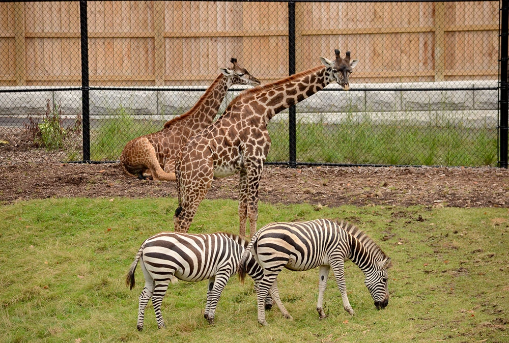 Seneca Park Zoo